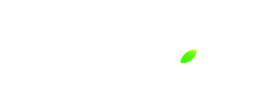 Салон Яблоко