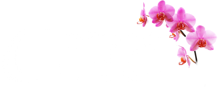 Салон красоты Соло