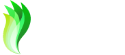 Студия СтомАвеню