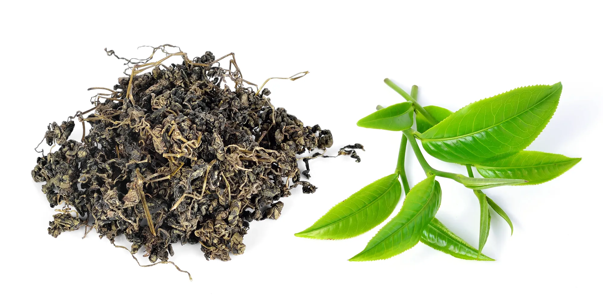 Как чай влияет на рост волос | витамин-п-байкальский.рф